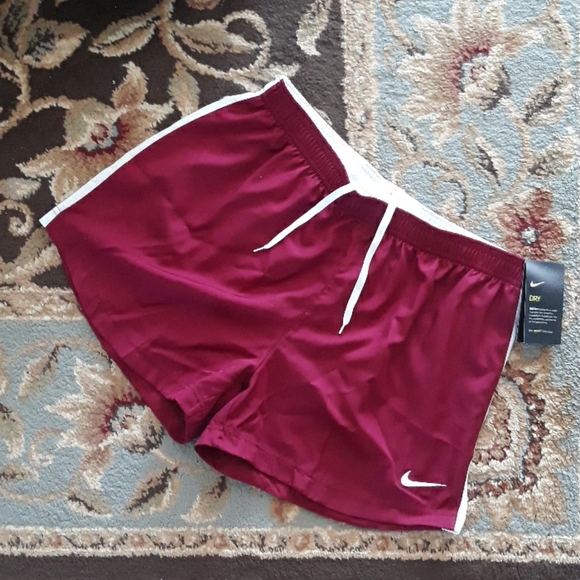 Nike Pants - Nike dri-fit ladies shorts